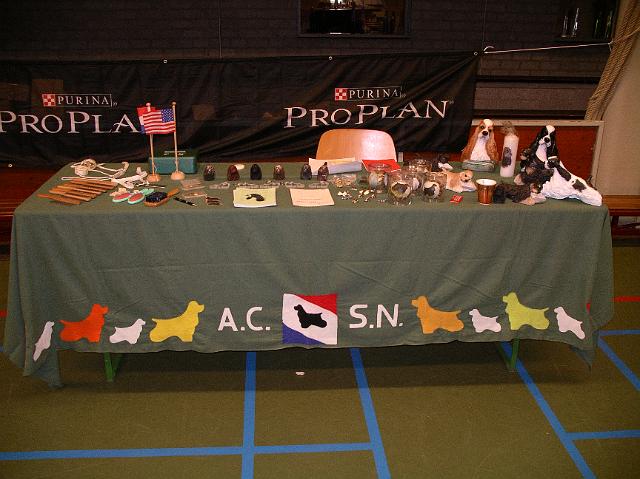 ACSN 2010 x-shop1.JPG